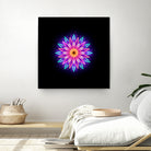 abstract flower1 by Ilya Shapko on GIANT ART - fuchsia vector illustration