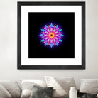 abstract flower1 by Ilya Shapko on GIANT ART - fuchsia vector illustration