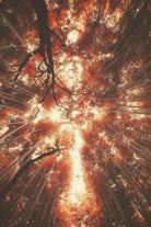 Bamboo Forest V by Pascal Deckarm on GIANT ART - orange photo manipulation