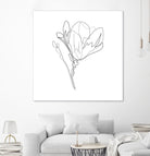 Magnolia Flower Print #4 by Parinta Sofia Stefanopoulou on GIANT ART - white digital drawing