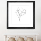 Magnolia Flower Print #4 by Parinta Sofia Stefanopoulou on GIANT ART - white digital drawing