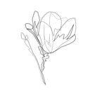 Magnolia Flower Print #4 by Parinta Sofia Stefanopoulou on GIANT ART - white digital drawing