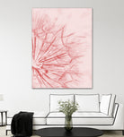 Dandelion In Pink by IOANNA PAPANIKOLAOU on GIANT ART - pink photo illustration