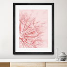 Dandelion In Pink by IOANNA PAPANIKOLAOU on GIANT ART - pink photo illustration