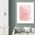 Dandelion In Pink by IOANNA PAPANIKOLAOU on GIANT ART - pink photo illustration