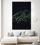 Fir tree by Mikhail Zhirnov on GIANT ART - green photo illustration