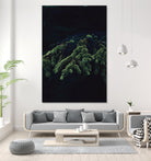 Fir tree by Mikhail Zhirnov on GIANT ART - green photo illustration