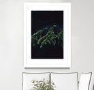 Fir tree by Mikhail Zhirnov on GIANT ART - green photo illustration