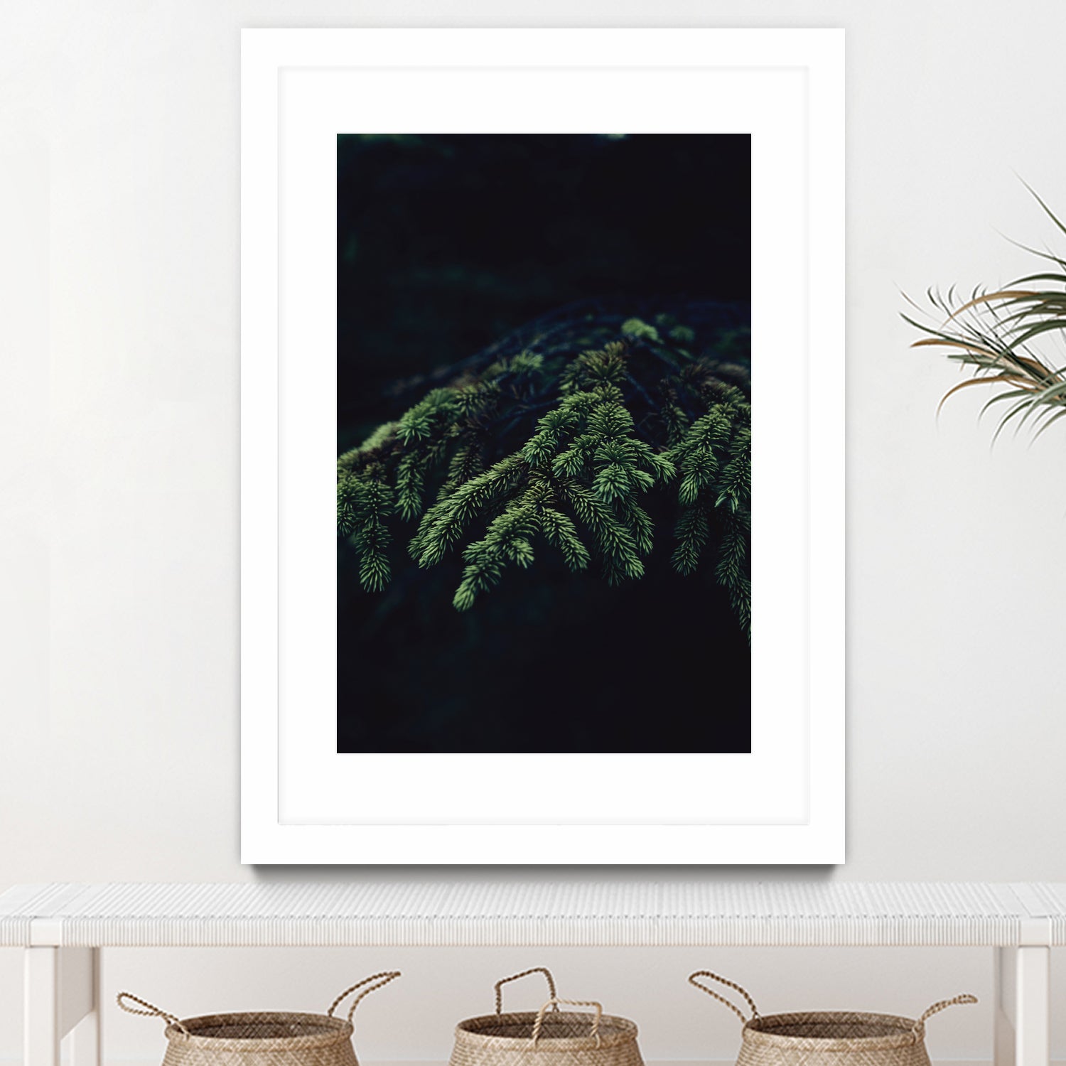 Fir tree by Mikhail Zhirnov on GIANT ART - green photo illustration