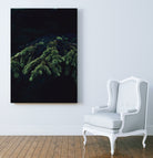 Fir tree by Mikhail Zhirnov on GIANT ART - green photo illustration