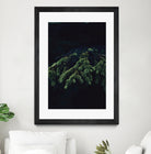 Fir tree by Mikhail Zhirnov on GIANT ART - green photo illustration