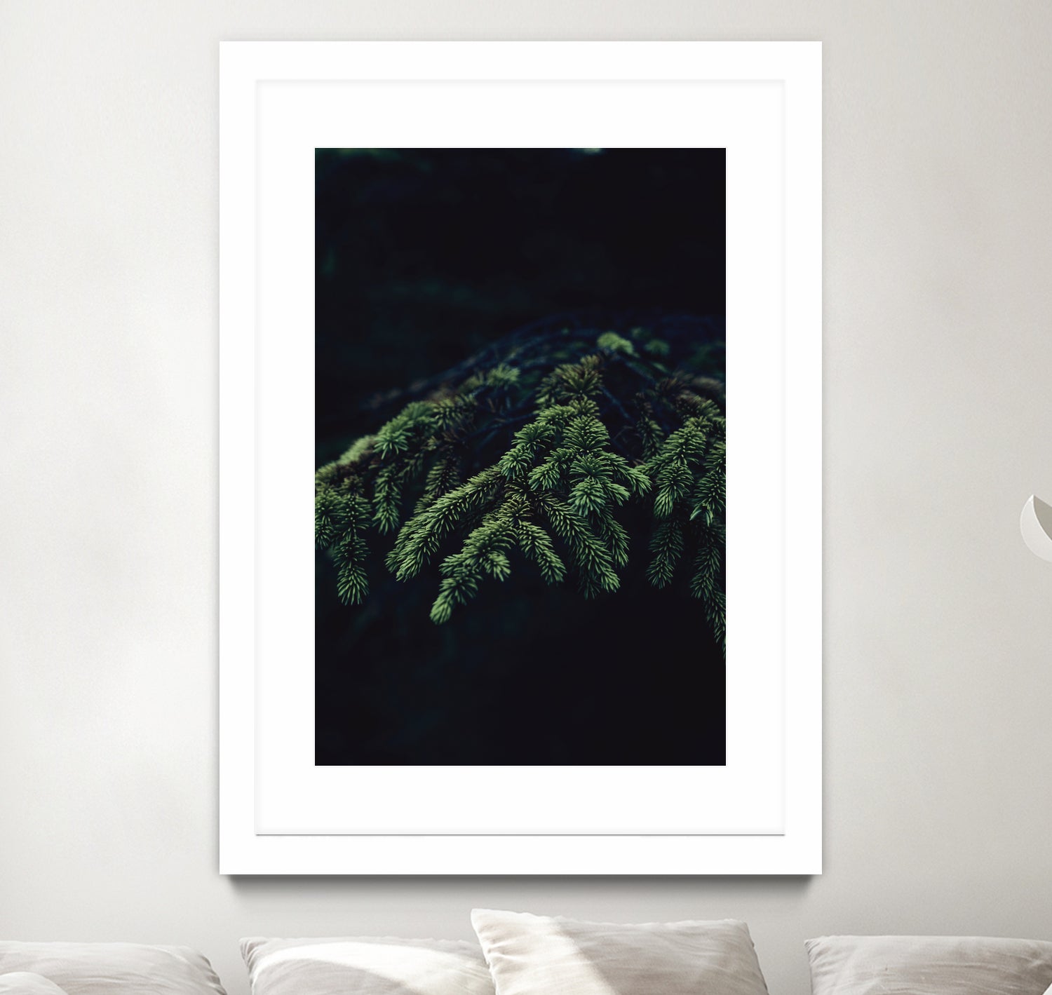 Fir tree by Mikhail Zhirnov on GIANT ART - green photo illustration