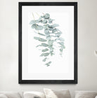 Eucalyptus II by Kathrin Pienaar on GIANT ART - green photo manipulation