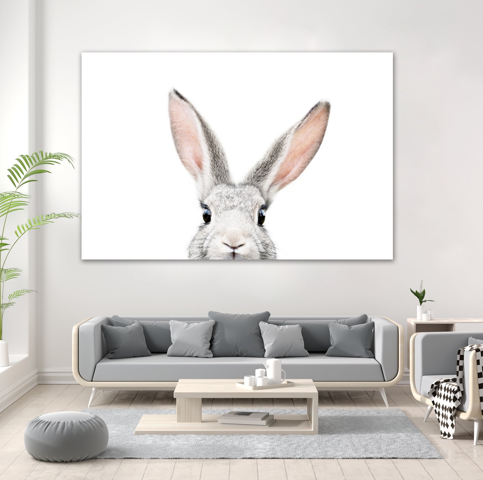 Bunny by Kathrin Pienaar on GIANT ART - gray photo manipulation