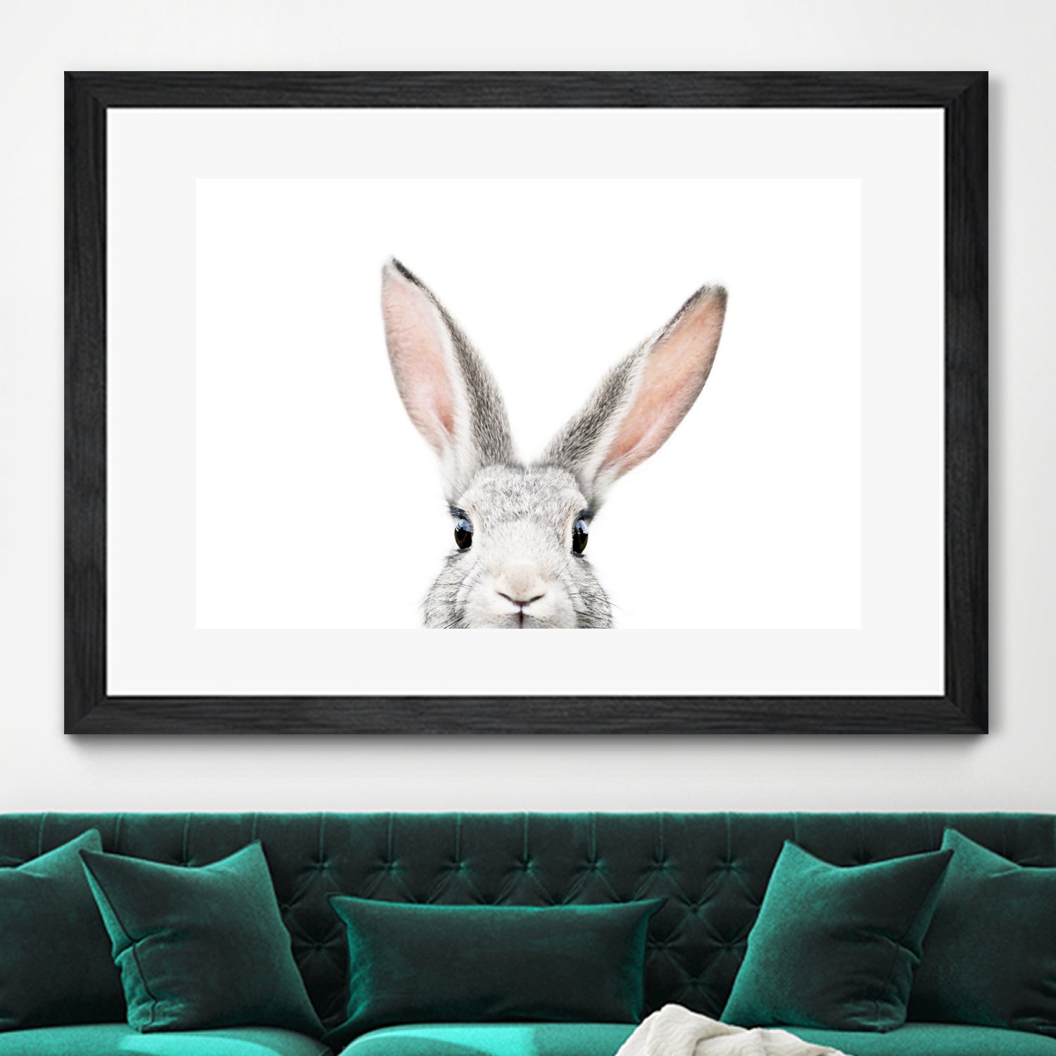 Bunny by Kathrin Pienaar on GIANT ART - gray photo manipulation