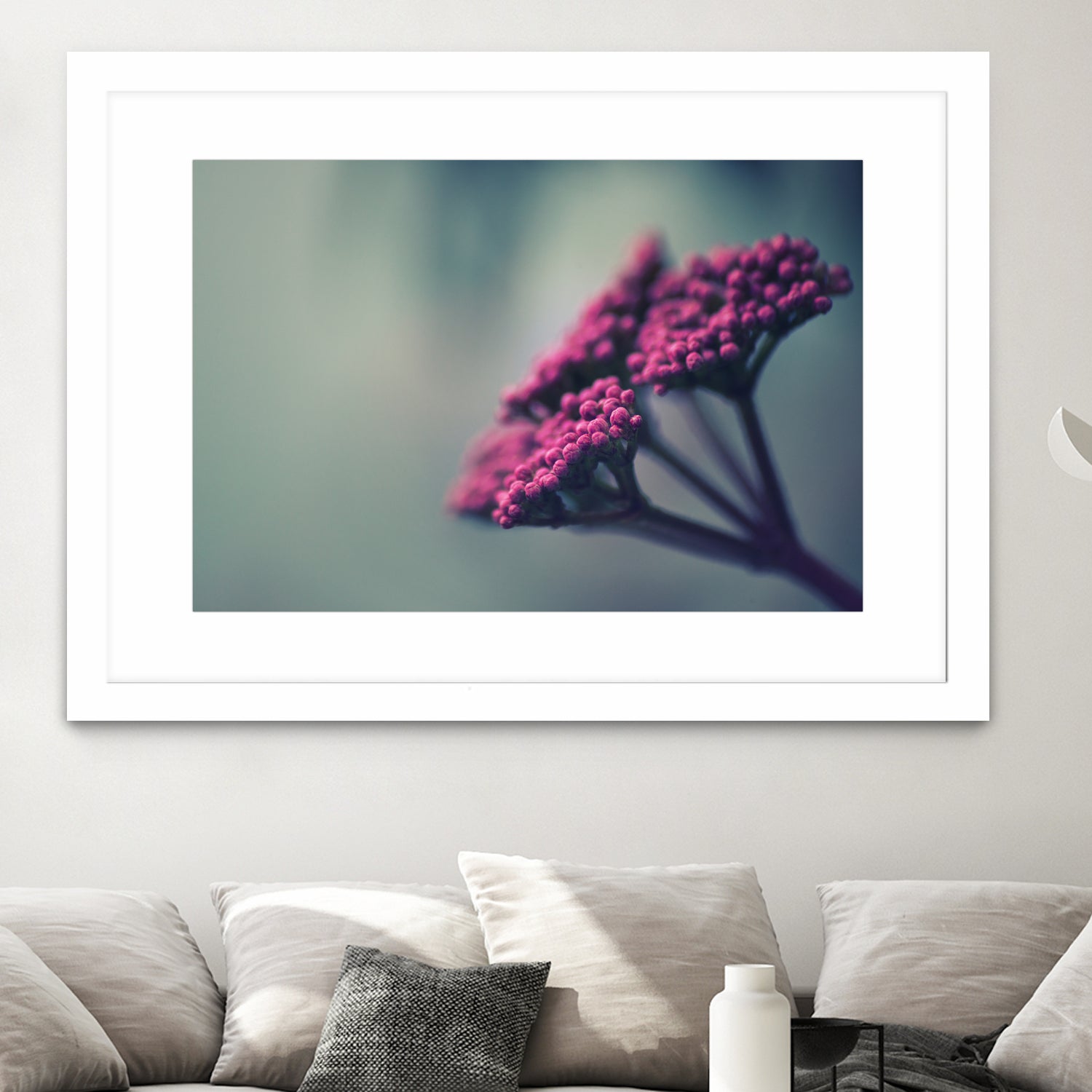 Pink winter flowers by Giordano Aita on GIANT ART - fuchsia photo illustration