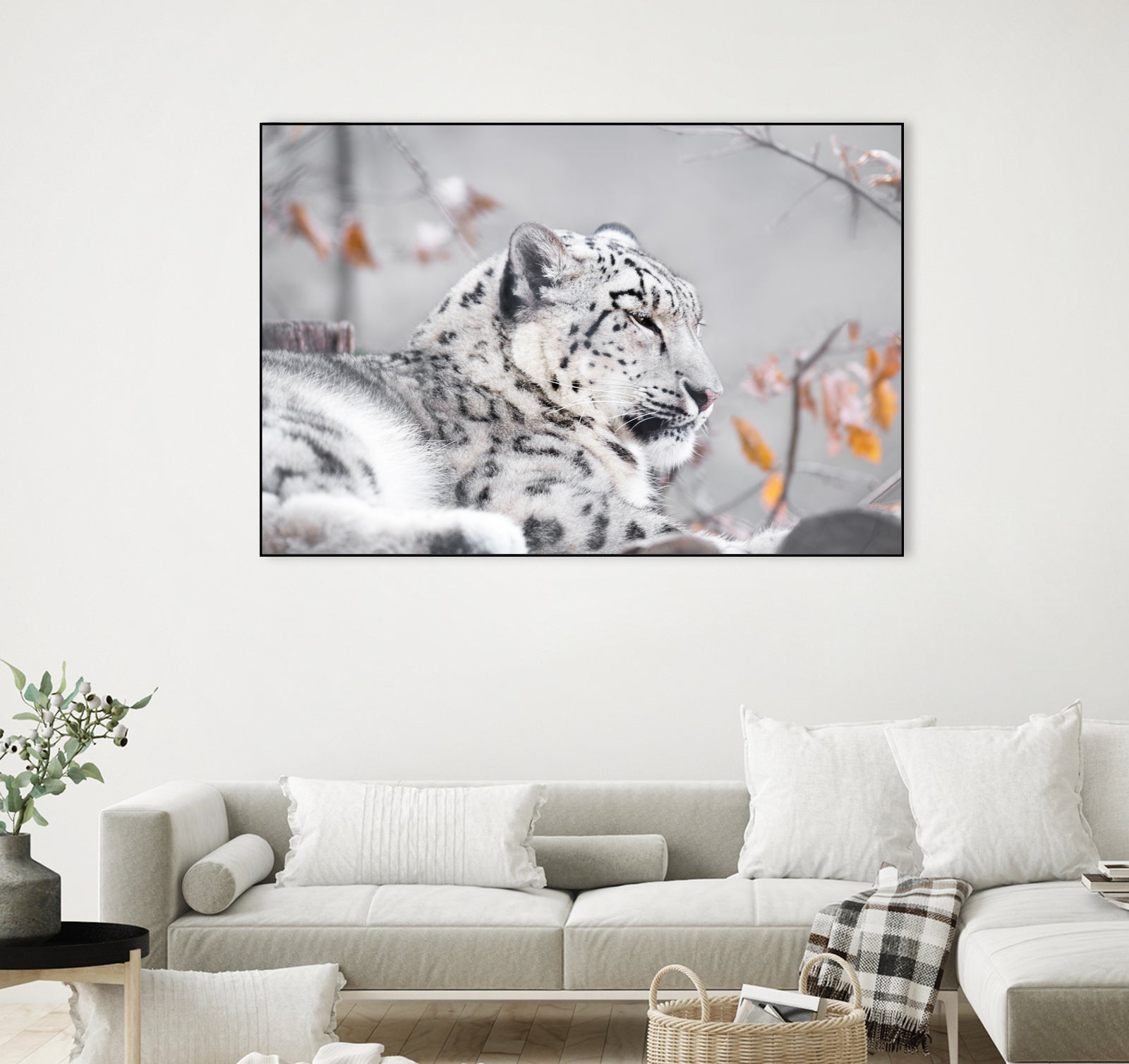 Snow leopard by Sarah Arthur on GIANT ART - gray photo illustration