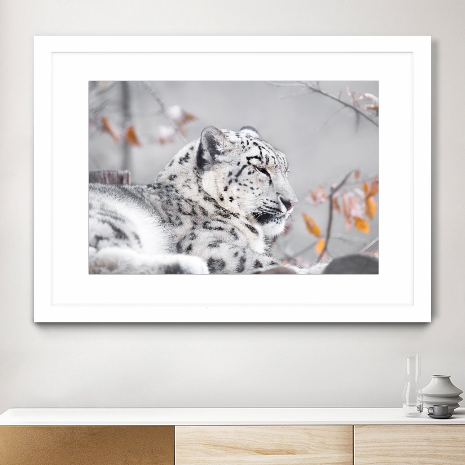 Snow leopard by Sarah Arthur on GIANT ART - gray photo illustration