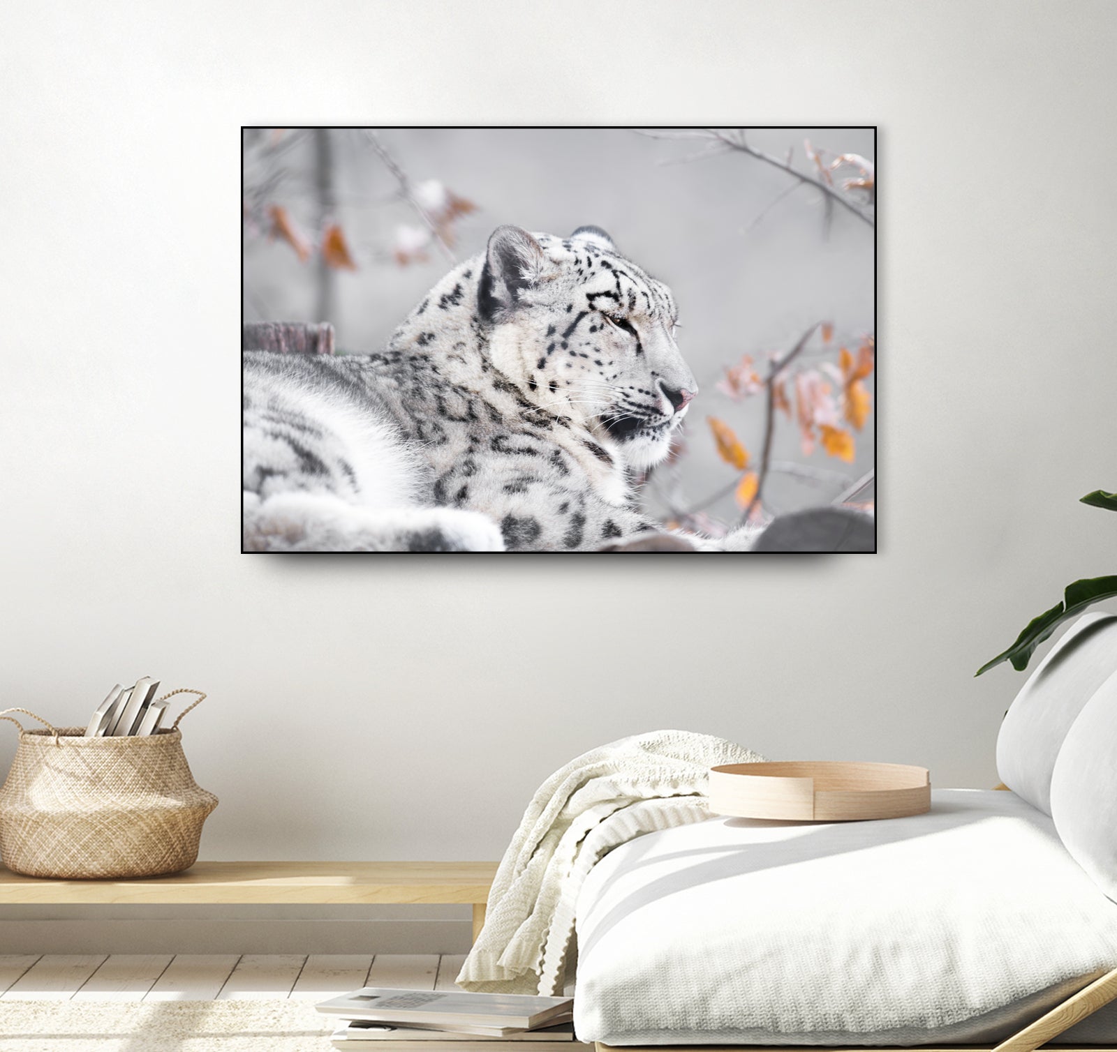 Snow leopard by Sarah Arthur on GIANT ART - gray photo illustration