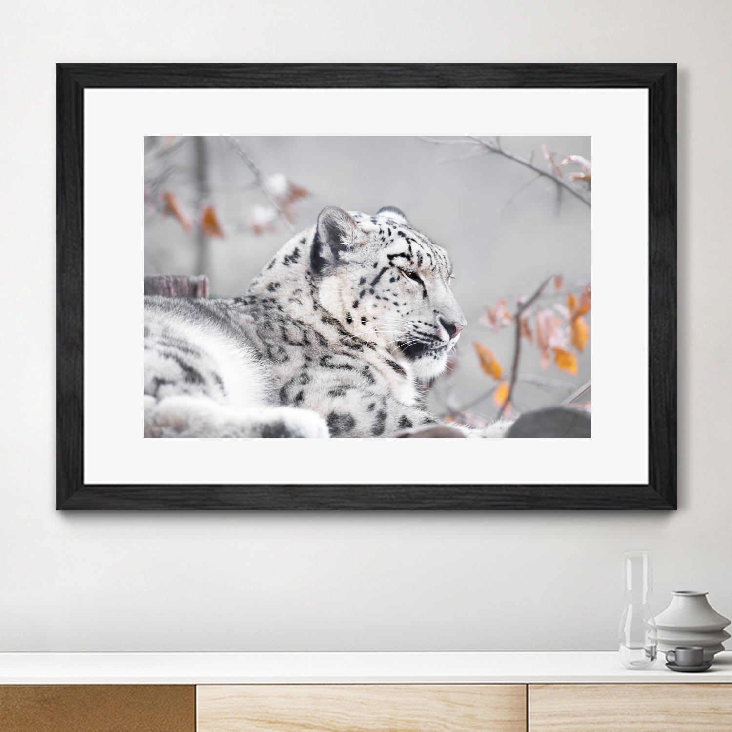 Snow leopard by Sarah Arthur on GIANT ART - gray photo illustration