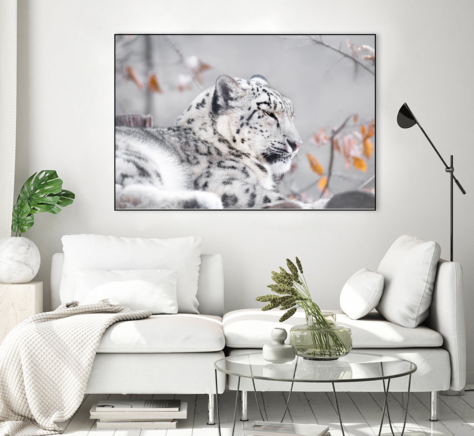 Snow leopard by Sarah Arthur on GIANT ART - gray photo illustration