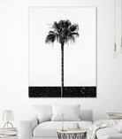 Coconut Tree by Uma Gokhale on GIANT ART - white photo manipulation