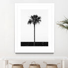 Coconut Tree by Uma Gokhale on GIANT ART - white photo manipulation