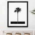 Coconut Tree by Uma Gokhale on GIANT ART - white photo manipulation