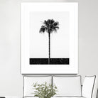 Coconut Tree by Uma Gokhale on GIANT ART - white photo manipulation