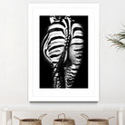 Stripes And Tails Monochrome by Irina Safonova on GIANT ART - gray photo manipulation