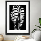 Stripes And Tails Monochrome by Irina Safonova on GIANT ART - gray photo manipulation