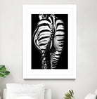 Stripes And Tails Monochrome by Irina Safonova on GIANT ART - gray photo manipulation