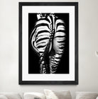 Stripes And Tails Monochrome by Irina Safonova on GIANT ART - gray photo manipulation