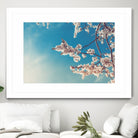 Spring Cherry Sakura White Flowers,Toning by Anna Matveeva on GIANT ART - blue photo illustration