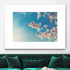 Spring Cherry Sakura White Flowers,Toning by Anna Matveeva on GIANT ART - blue photo illustration