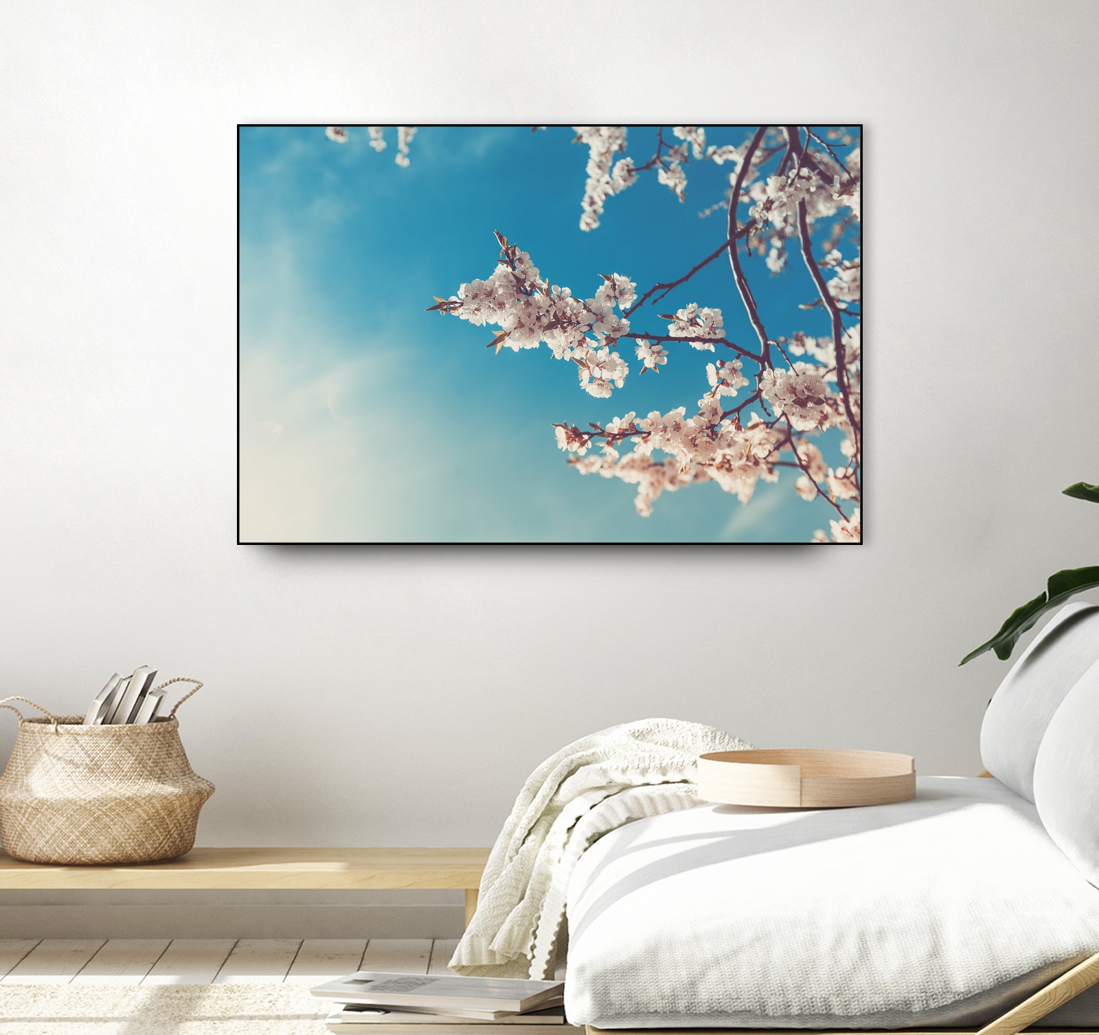 Spring Cherry Sakura White Flowers,Toning by Anna Matveeva on GIANT ART - blue photo illustration