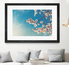 Spring Cherry Sakura White Flowers,Toning by Anna Matveeva on GIANT ART - blue photo illustration