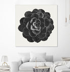 Black Marble Succulent Plant by amini 54 on GIANT ART - black digital painting