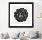 Black Marble Succulent Plant by amini 54 on GIANT ART - black digital painting