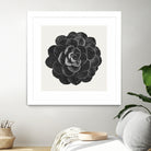 Black Marble Succulent Plant by amini 54 on GIANT ART - black digital painting