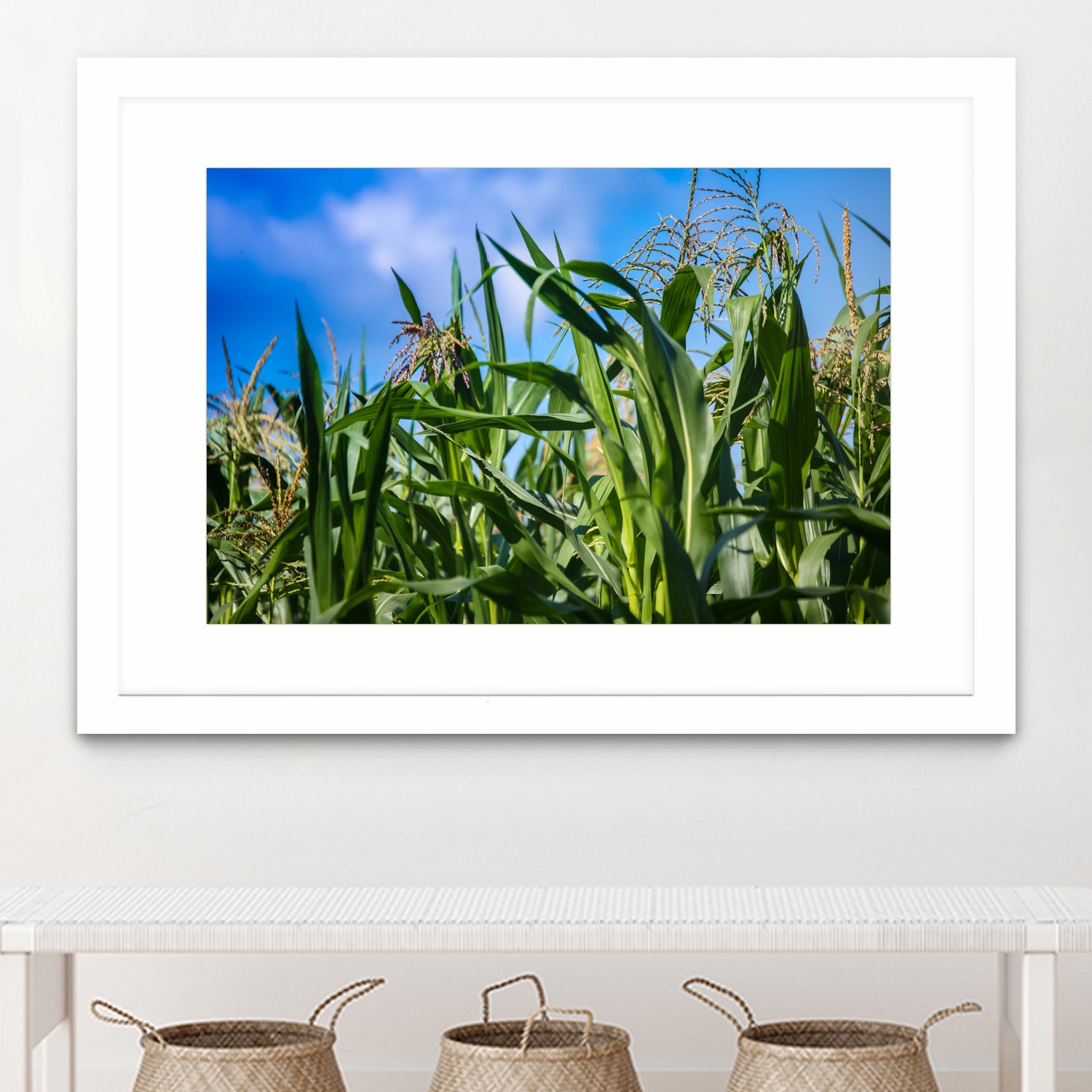 Corn Field Blue Sky Close-up by Anna Matveeva on GIANT ART - green photo illustration