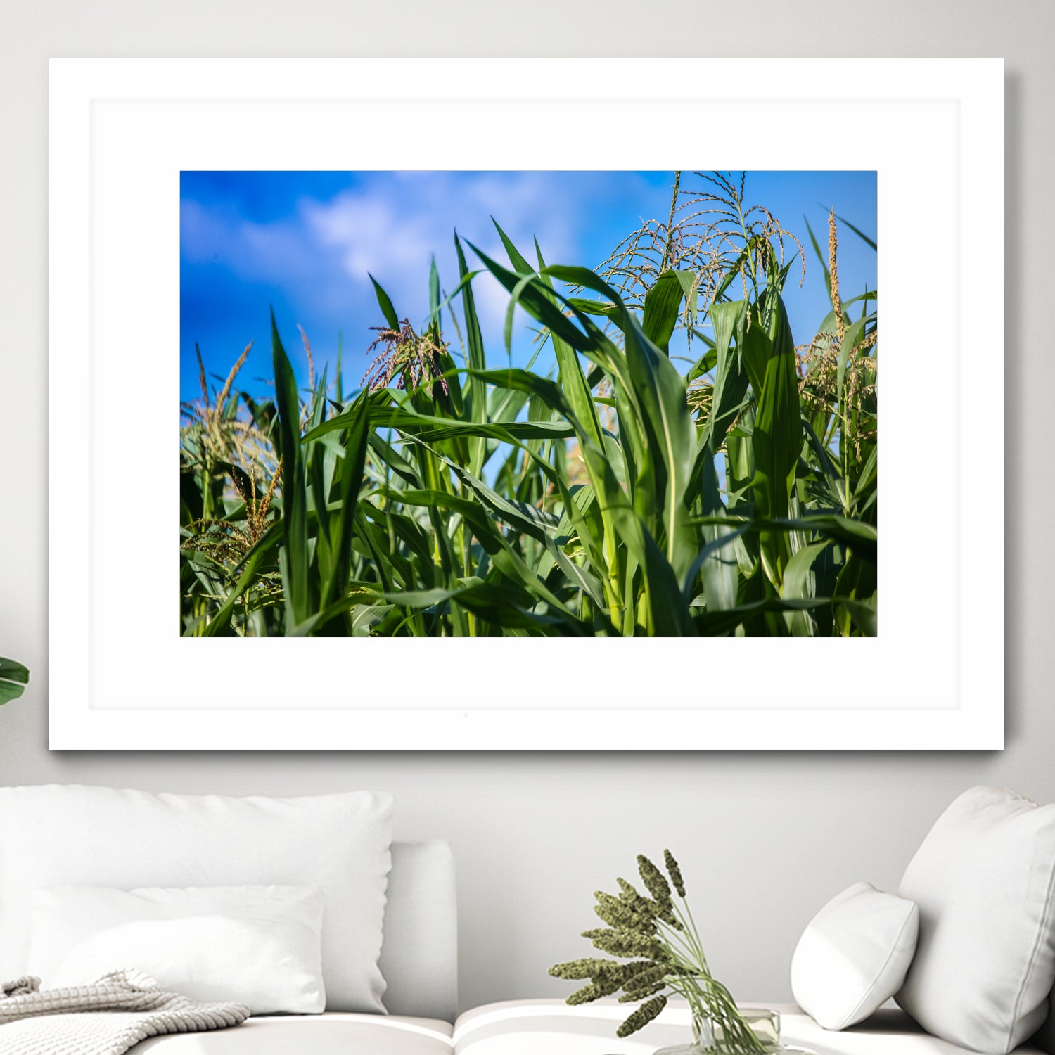 Corn Field Blue Sky Close-up by Anna Matveeva on GIANT ART - green photo illustration