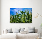 Corn Field Blue Sky Close-up by Anna Matveeva on GIANT ART - green photo illustration