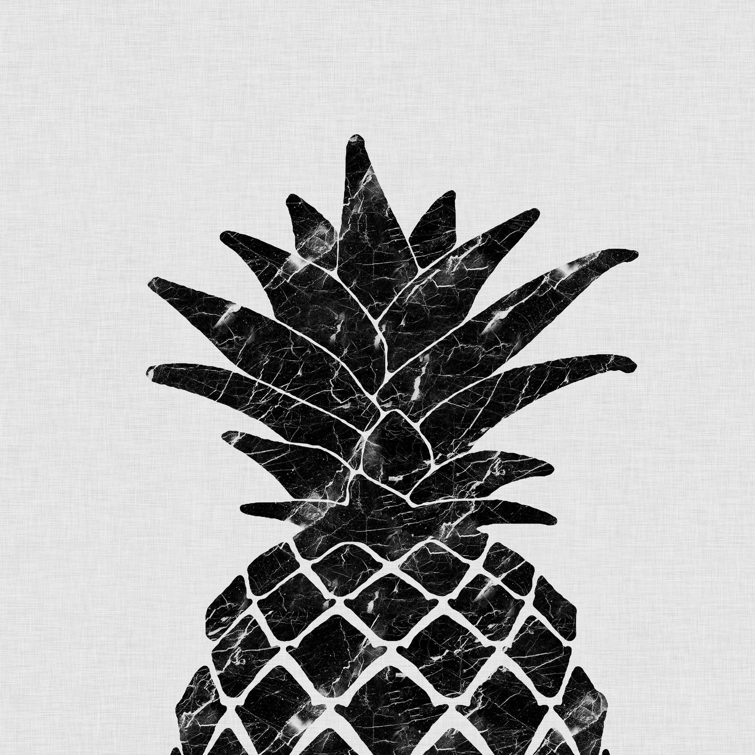 Marble Pineapple by Dana Shek on GIANT ART - white photo illustration