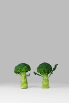 Arguing Broccolis by Anders Wasser on GIANT ART - gray photo illustration