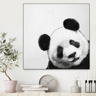 Peekaboo Panda by Laura Graves on GIANT ART - black digital painting