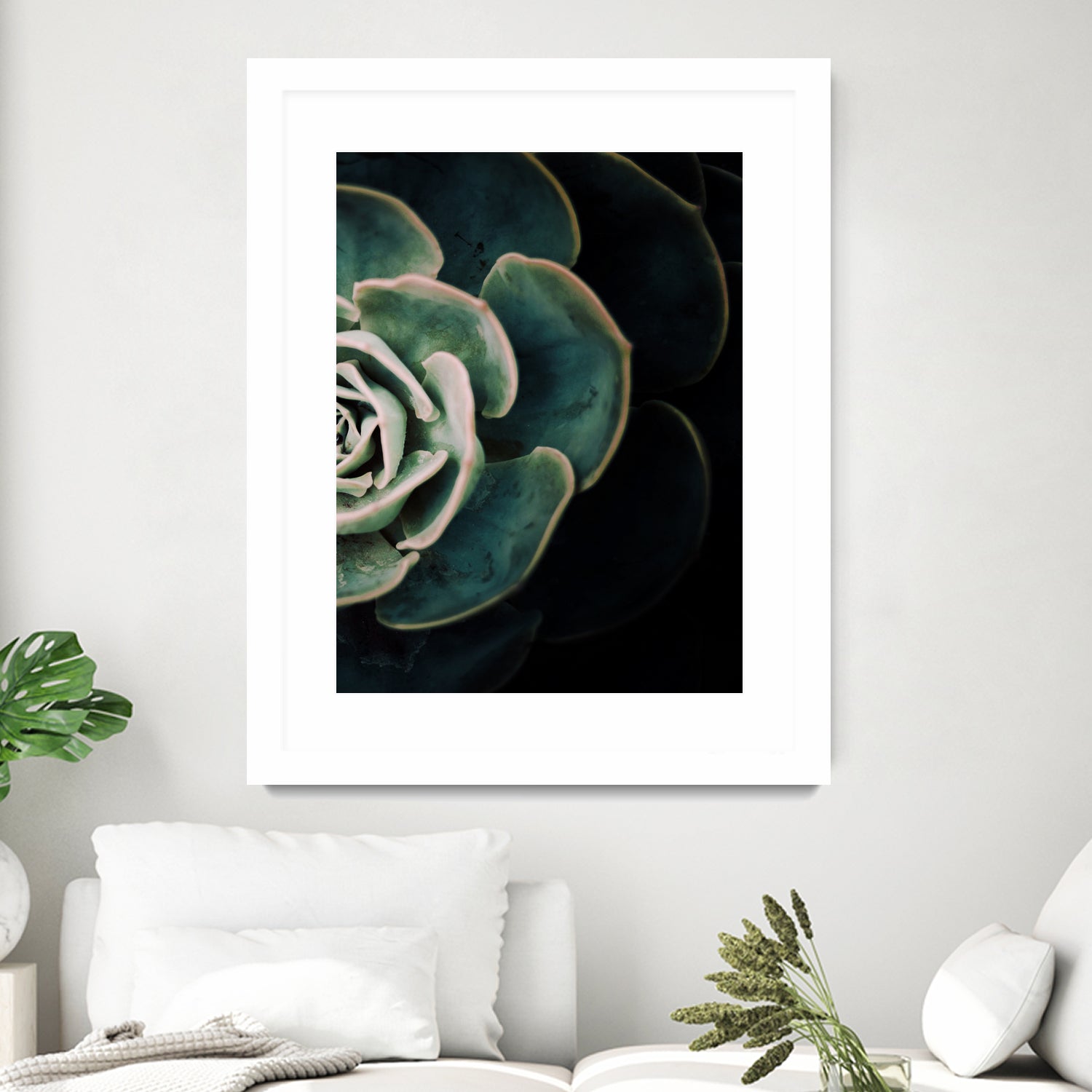 DARKSIDE OF SUCCULENTS IV-2 by Pia Schneider on GIANT ART - black photo manipulation