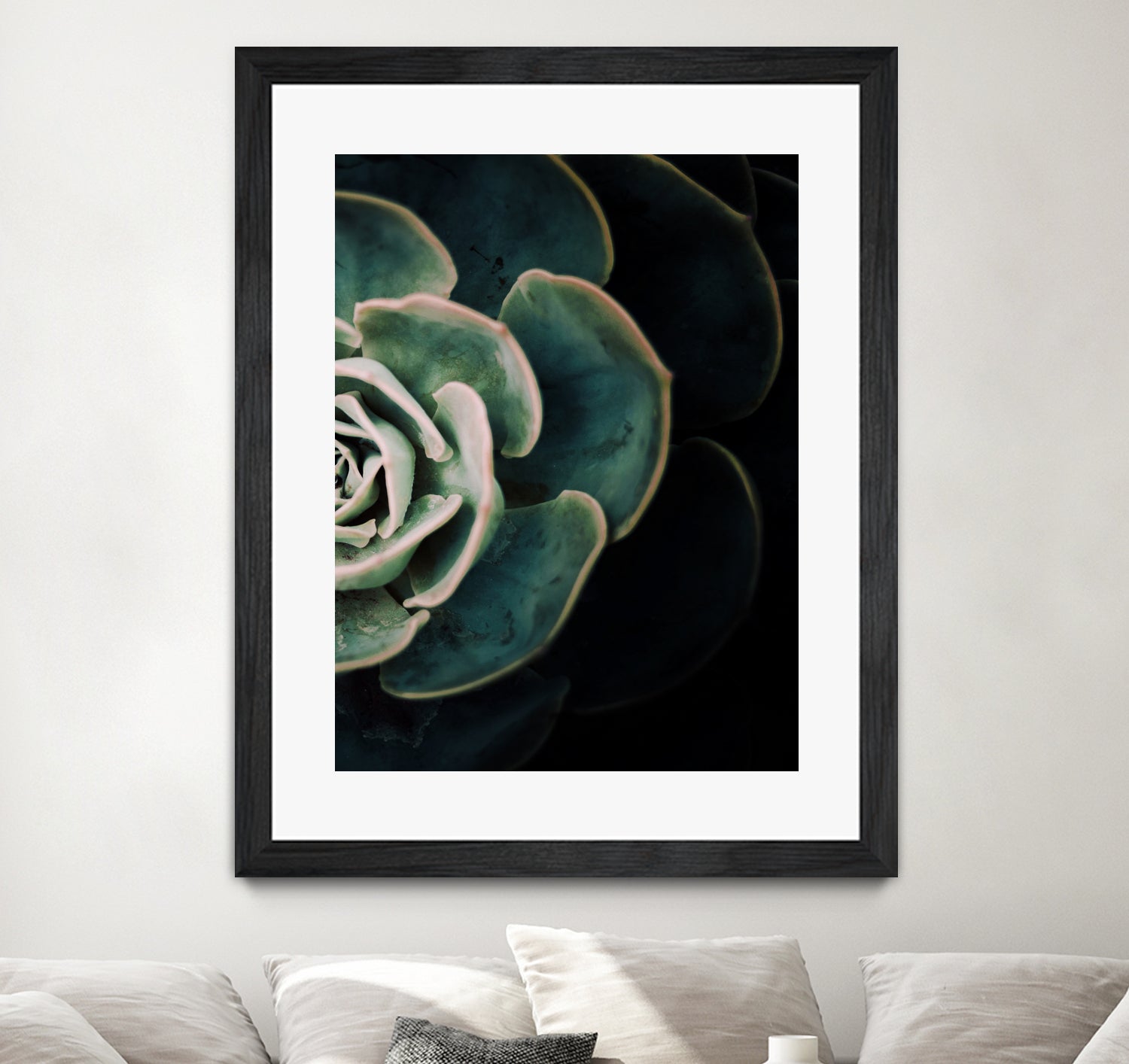 DARKSIDE OF SUCCULENTS IV-2 by Pia Schneider on GIANT ART - black photo manipulation