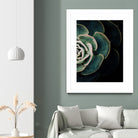 DARKSIDE OF SUCCULENTS IV-2 by Pia Schneider on GIANT ART - black photo manipulation