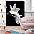 White Flowers Black Background by Alessandra Minervini on GIANT ART - black digital painting